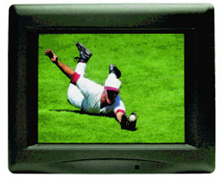 Marshall V-LCD5.6-PRO Portable Lcd Monitor